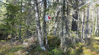 Tur-O - stemningsrapport